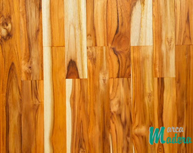 encino americano de primera