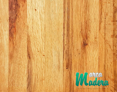 encino nacional de primera